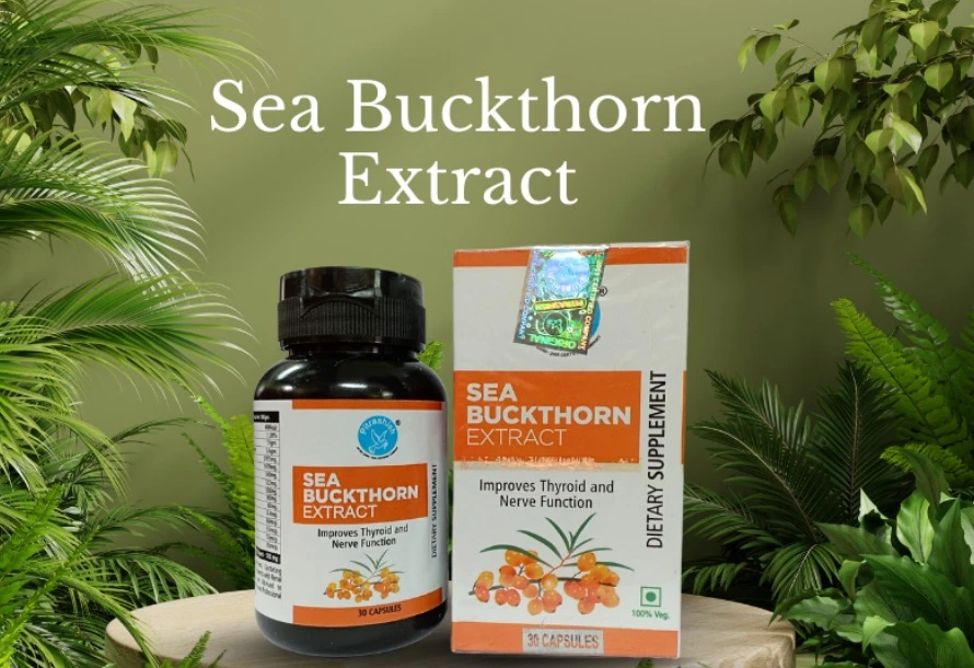 Sea Buckthorn Extract - 30 capsules